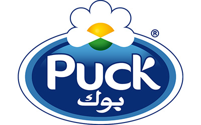 puck